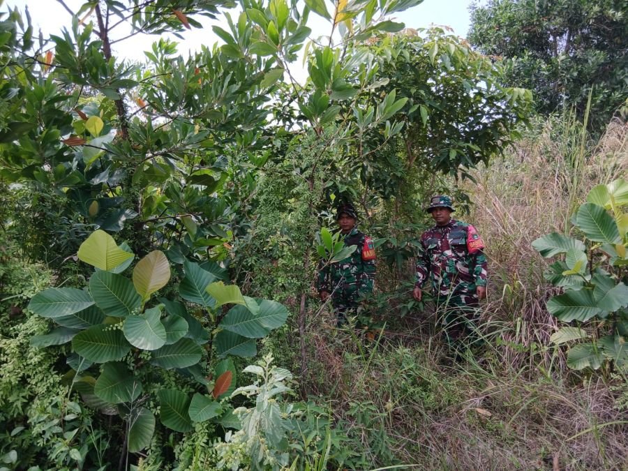 Patroli Rutin Karhutla di Desa Petani, Wilayah Koramil 03/Mandau Dipastikan Aman Bebas Kebakaran