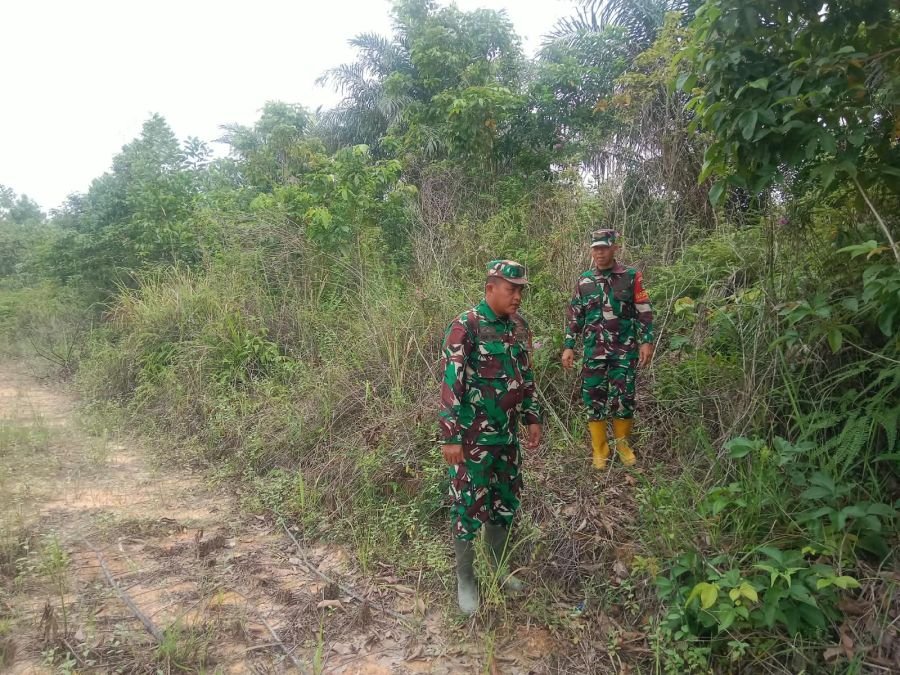 Babinsa Koramil 03/Mandau Sisir Jalan Sakura, Tak Ditemukan Titik Api