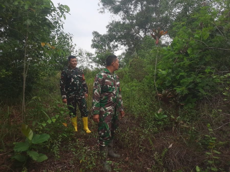 Babinsa Mandau Patroli Karhutla di Pematang Pudu, Tak Temukan Titik Api