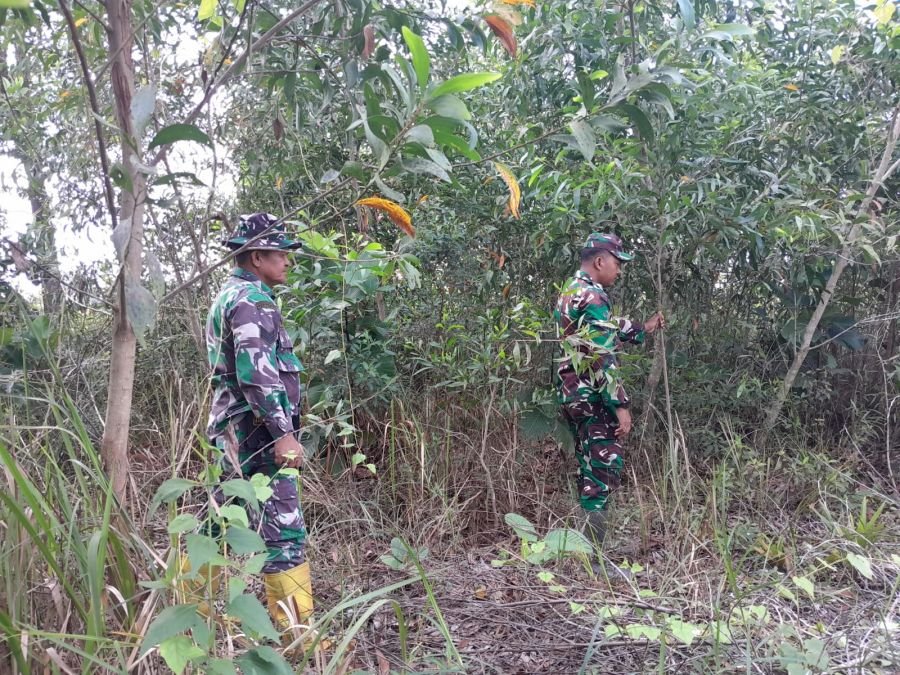 Patroli Rutin Pantau Kondisi Hutan, Serma Fauzi dan Serda Zulkarnain Cegah Dini Karhutla