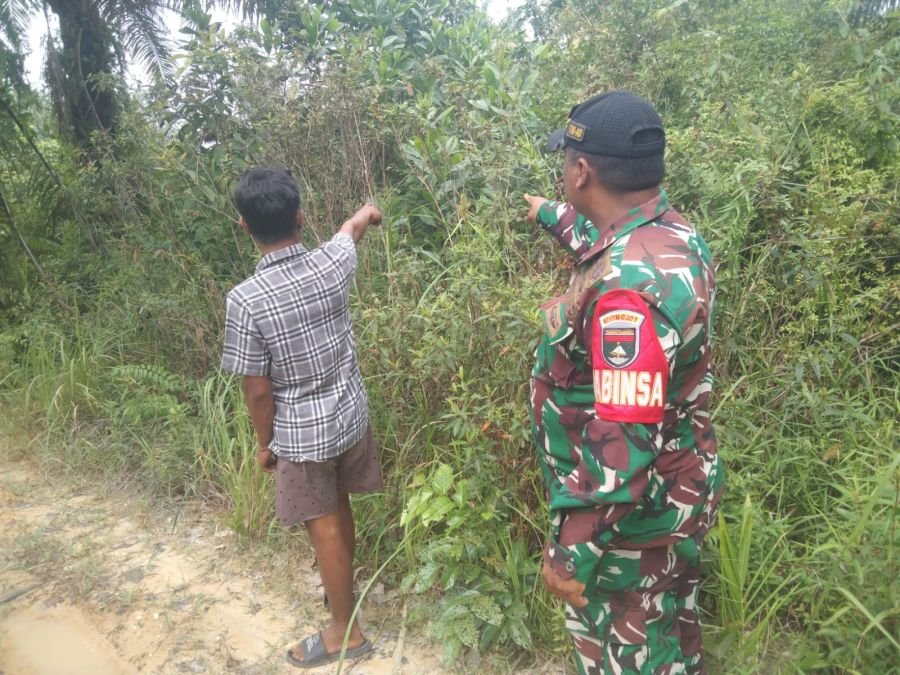 Patroli Tanpa Henti, Babinsa Edukasi Warga Cegah Karhutla Sebelum Terlambat