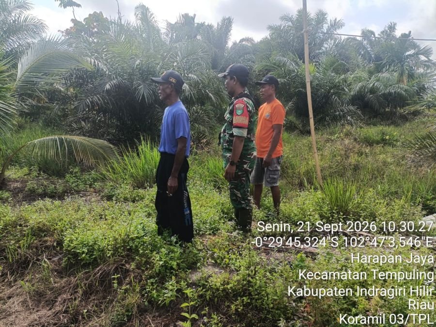 Patroli Tapal Batas, Babinsa 03/Tempuling Tegaskan Larangan Bakar Lahan