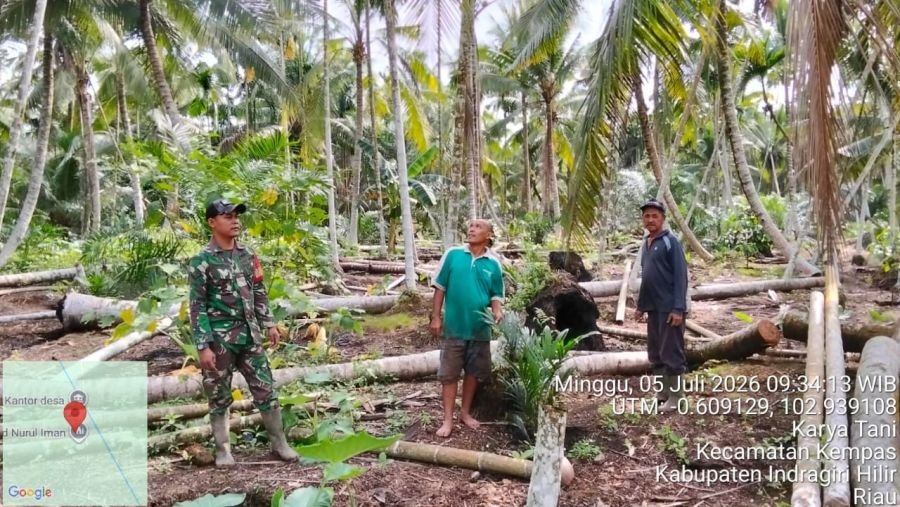 Patroli Tapal Batas Babinsa 03/Tpl Perkuat Pengawasan Wilayah Perbatasan Desa