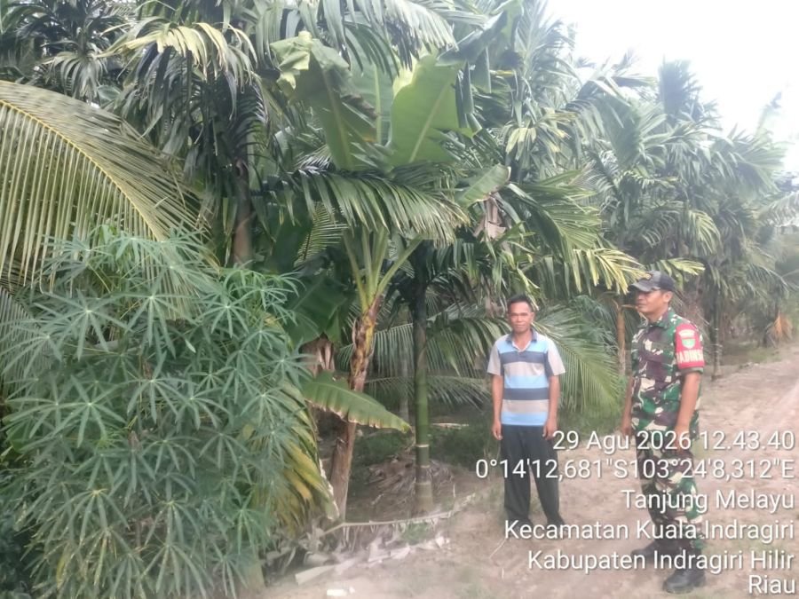 Patroli Tapal Batas, Babinsa 04/Kuindra Pastikan Wilayah Tanjung Melayu Aman dari Karhutla