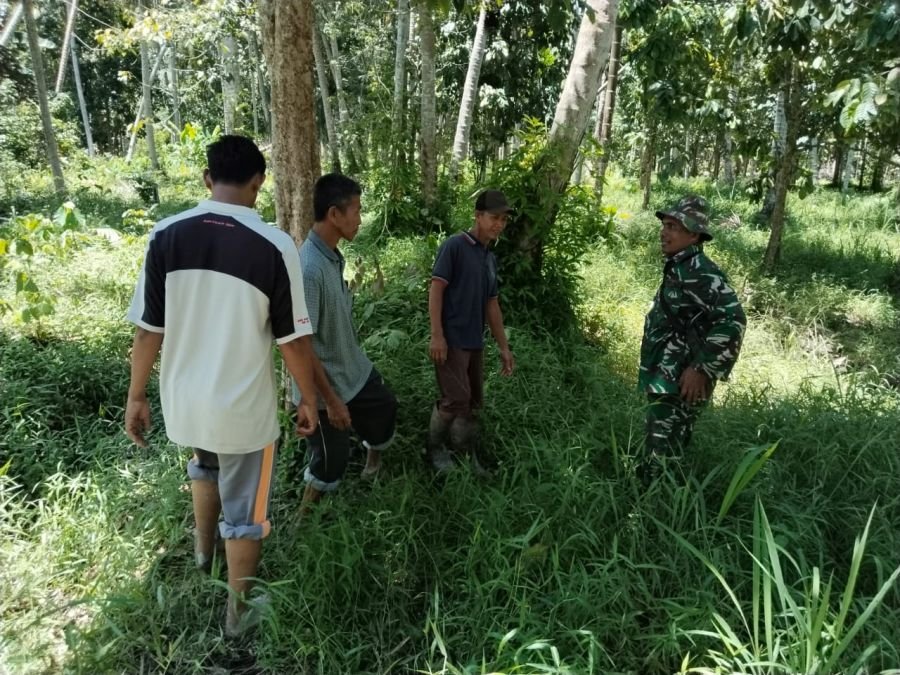 Patroli Tapal Batas, Babinsa 09/Kemuning Pastikan Desa Lintas Utara Bebas Karhutla