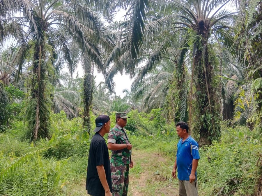 Patroli Tapal Batas: Babinsa 09/Kemuning Sosialisasikan Bahaya Karhutla Ke Warga Limau Manis