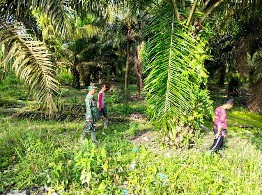 Patroli Tapal Batas, Babinsa Koramil 09/Kemuning Tegaskan Wilayah Pengalihan Nihil Karhutla