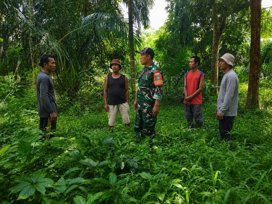 Patroli Tapal Batas Dan Edukasi Karhutla, Babinsa 09/Kemuning Perkuat Kewaspadaan Warga