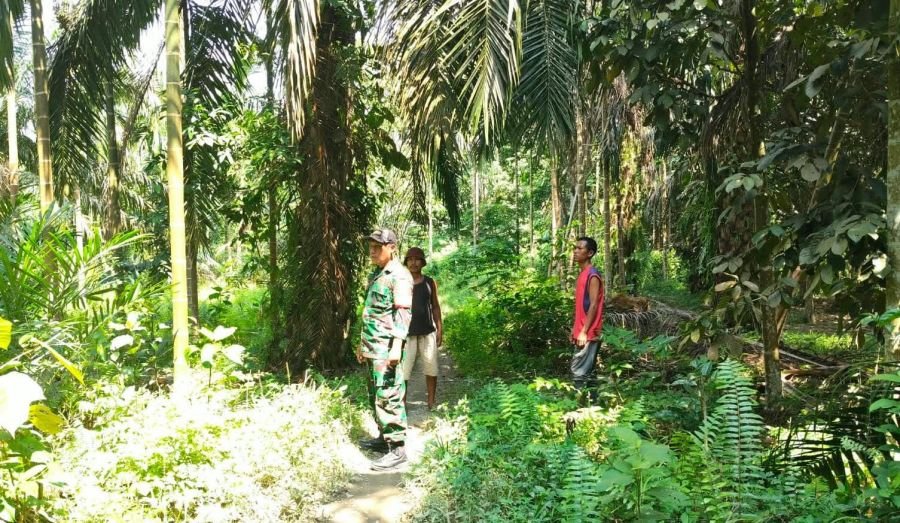 Patroli Tapal Batas dan Edukasi Karhutla, Babinsa Kemuning Tua Hadir di Tengah Warga