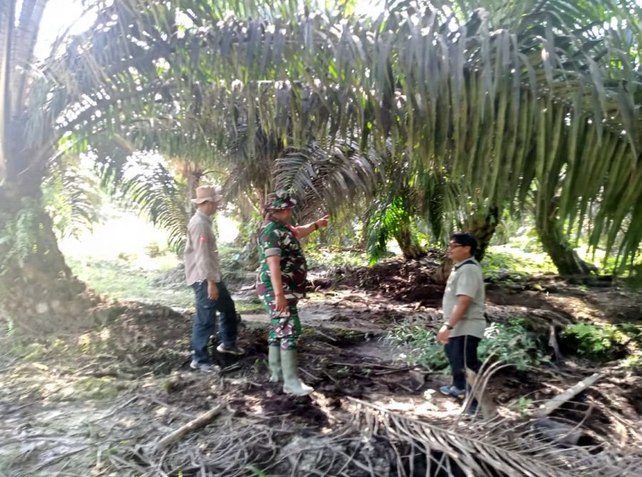 Patroli Tapal Batas dan Himbauan, Upaya Babinsa Koramil 09/Kemuning Cegah Karhutla