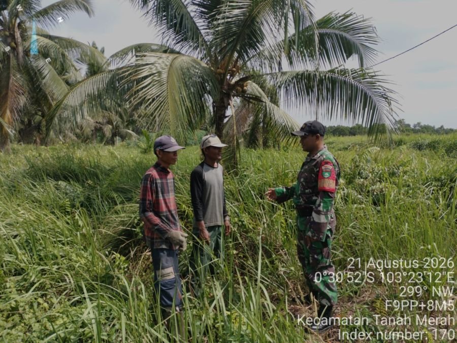 Patroli Tapal Batas dan Sosialisasi Karhutla, Babinsa Tanah Merah Pastikan Wilayah Aman