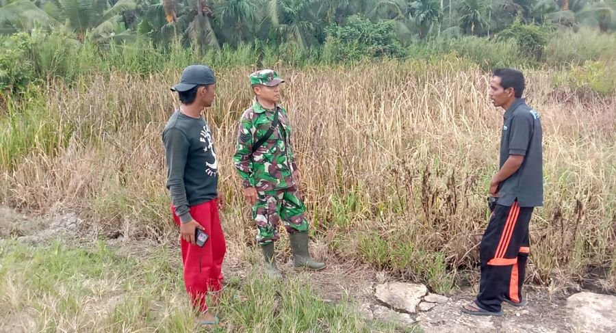 Patroli Tapal Batas dan Sosialisasi Karhutla Jadi Fokus Babinsa Koramil 07/Reteh