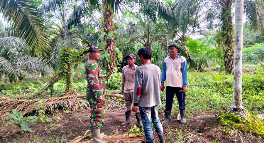 Patroli Tapal Batas Desa Sencalang Aman, Warga Siap Laporkan Potensi Karhutla