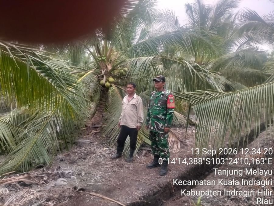 Patroli Tapal Batas di Desa Tanjung Melayu, Babinsa Koramil 04/Kuindra Pastikan Wilayah Nihil Titik