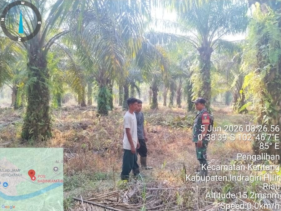 Patroli Tapal Batas di Pengalihan, Babinsa 09/Kemuning Pastikan Titik Api Nihil