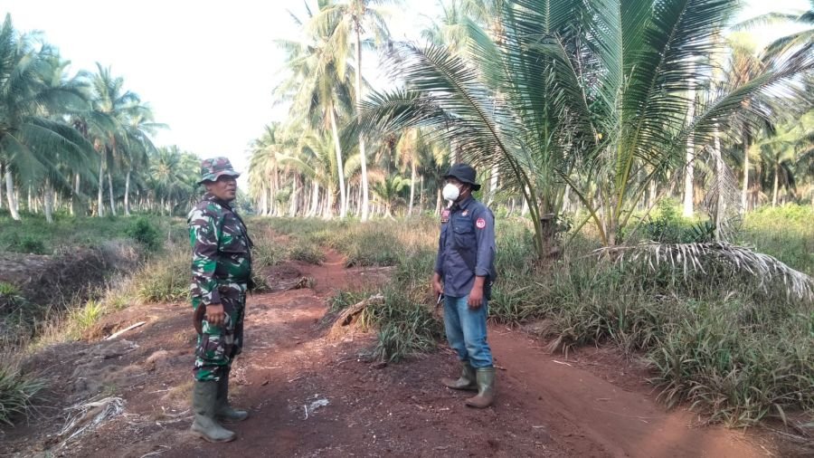 Patroli Tapal Batas Diperketat, Babinsa 10/Pelangiran Sisir Wilayah Rawan Kebakaran Karhutla