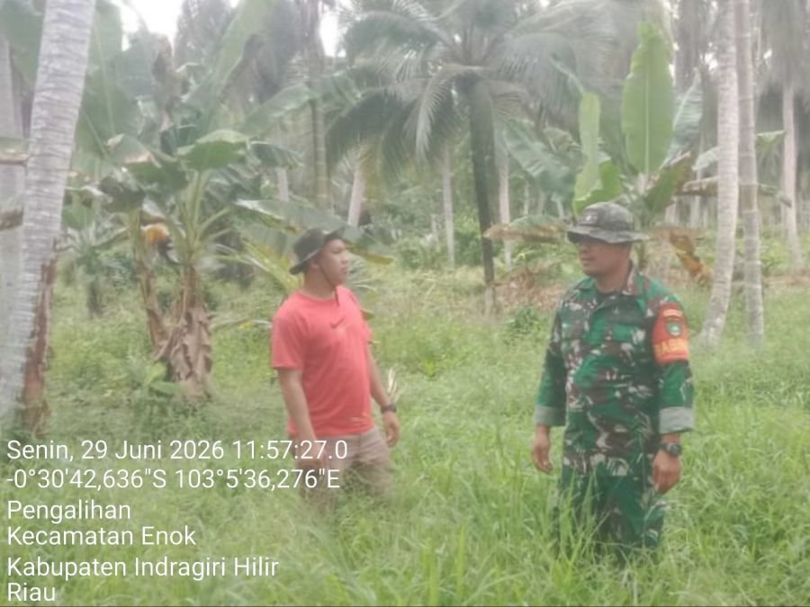 Patroli Tapal Batas Koramil 02/TM di Desa Pengalihan, Hasil Nihil Titik Api