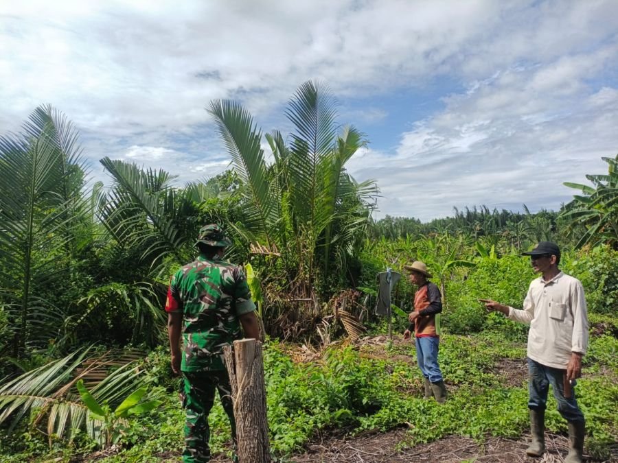 Patroli tapal batas koramil 06/Kateman didesa Air tawar kecamatan kateman.