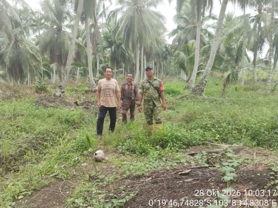 Patroli Tapal Batas Koramil 12/Batang Tuaka, Titik Api dan Asap Nihil