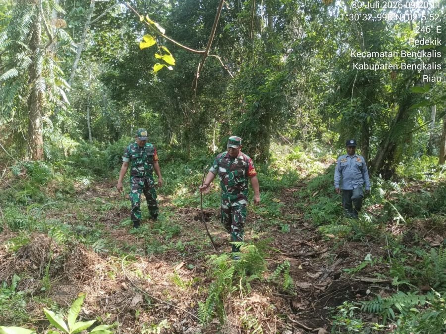Patroli Terpadu Karhutla Babinsa Koramil 01/Bengkalis Untuk Menjaga Kelestarian Hutan Dari Kebakaran
