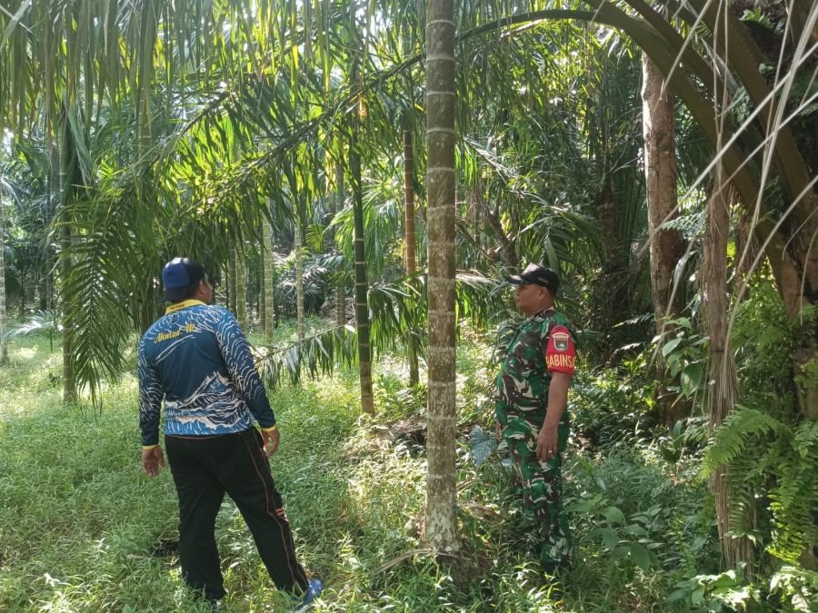 Patroli Terpadu Karhutla Upaya Dini Cegah Kebakaran Hutan Di Wilayah Teritorial Koramil 01/Bengkalis