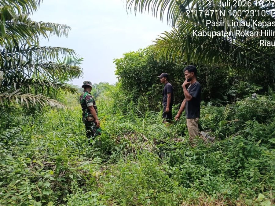 Patroli TNI Pastikan Karhutla Nihil di Pasir Limau Kapas