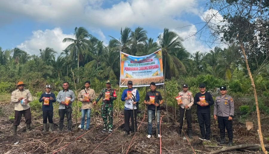 Pelda Suhaidi: Penanaman Jagung BumDes Sri Gemilang Wujudkan Swasembada Pangan Desa