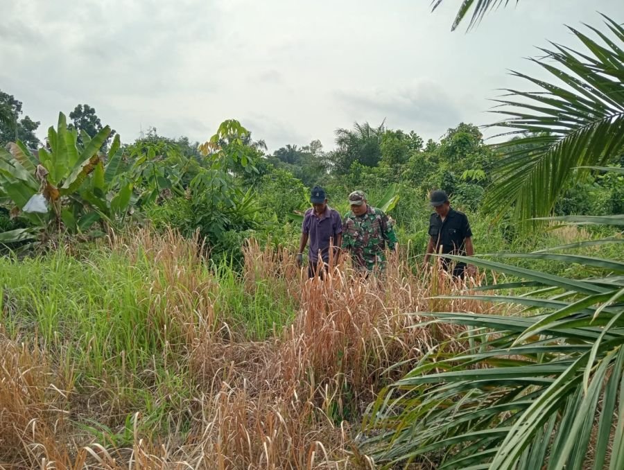 Pelda Syafri Babinsa Koramil 04/Perawang dan Warga Sisir Buatan II Cegah Karhutla