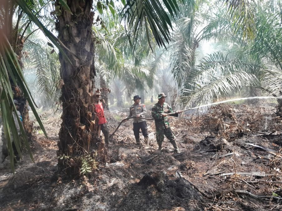 Peltu Nofiandi Babinsa 07/Reteh Laksanakan Penanganan Karhutla Di Wilayah Pulau Kijang
