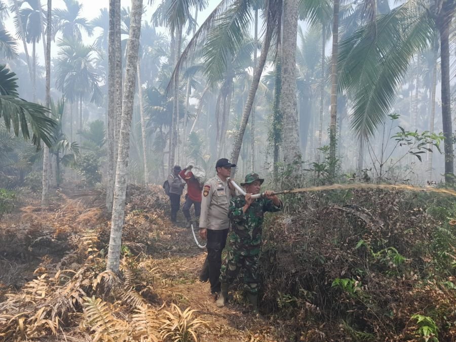 Peltu Nofiandi Babinsa Koramil 07/Reteh Pimpin Pemadaman Karhutla 2 Hektar di Desa Pulau Kecil
