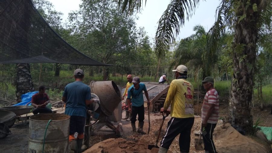 Pembangunan Jembatan Beton Desa Tajung Sari Terus Berlanjut, Pengecoran Lantai Atas Dilaksanakan