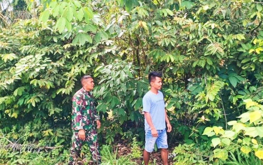 Pencegahan Karhutla Dilaksanakan Babinsa Koramil 02 Rambah Kodim 0313/KPR bersama MPA