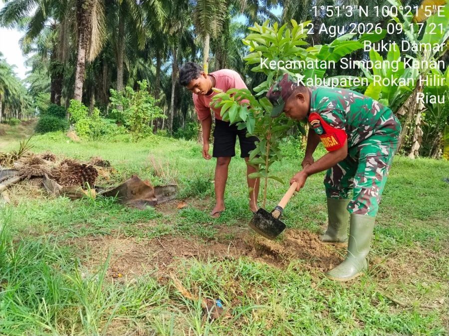 Penghijauan di Desa Binaan, Babinsa Koramil 0321-03/Bgs Rohil Bersama Warga Tanam Pohon
