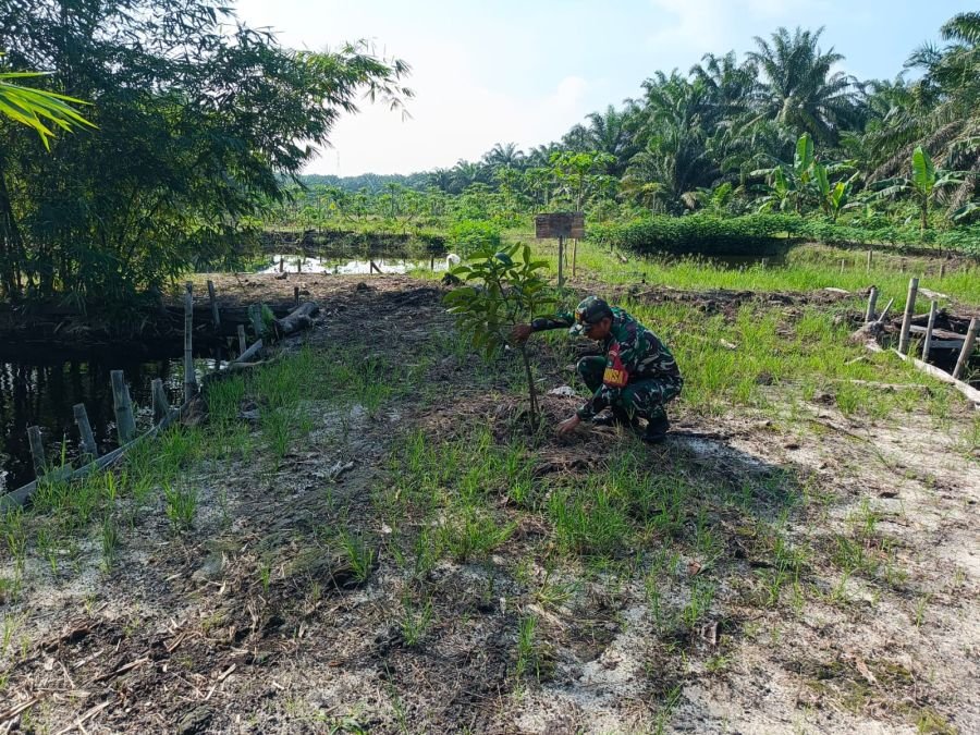 PERAWATAN TANAMAN DI DEMPLOT ECO PARK, JAGA KELANGSUNGAN PROGRAM KETAHANAN PANGAN
