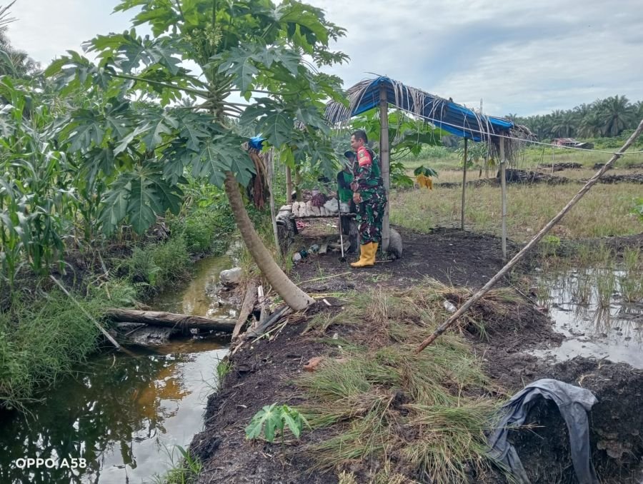 PERAWATAN TANAMAN DI ECOPARK SIMPANG BANGKO, SERDA Z. PANJAITAN JAGA KETAHANAN PANGAN MASYARAKAT