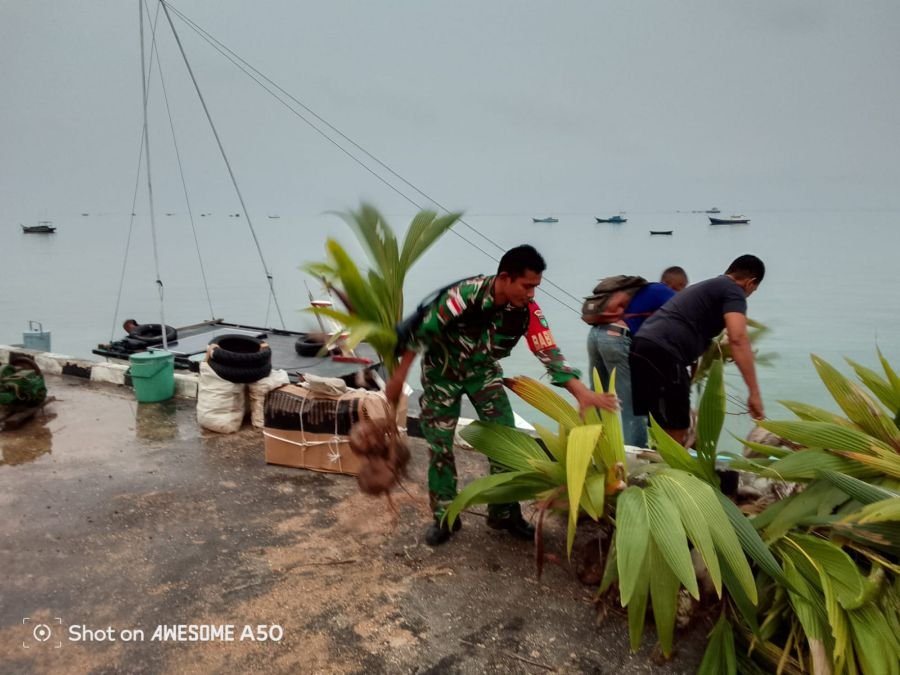 PERIHAL: BABINSA KOPDA HAFIT HERIADI MENBANTU MENGiRIMKAN BIBiT KELAPA YANG TERBAIK DARI DESA PULAU