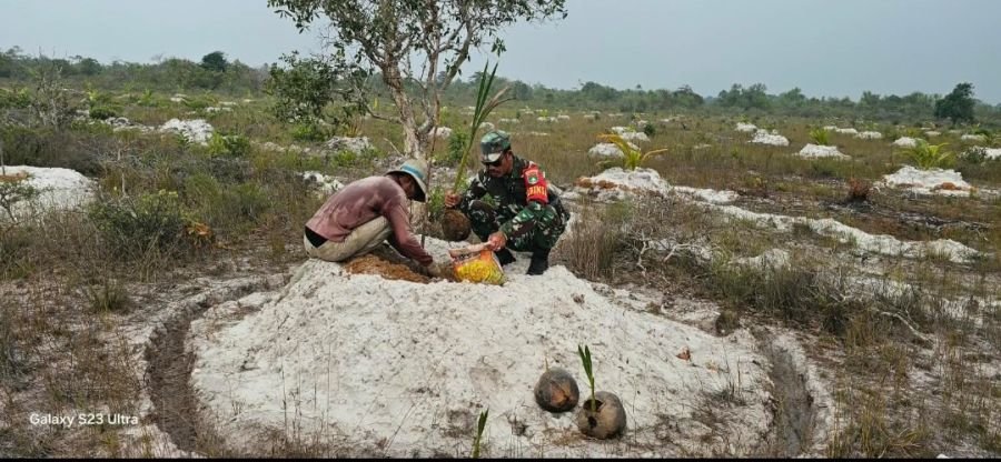 PERIHAL: BABINSA SERKA HENDRY PURWANTO MENGGALAKKAN PEMANFAATAN LAHAN TANAH PADANG MELALUI PENANAMAN