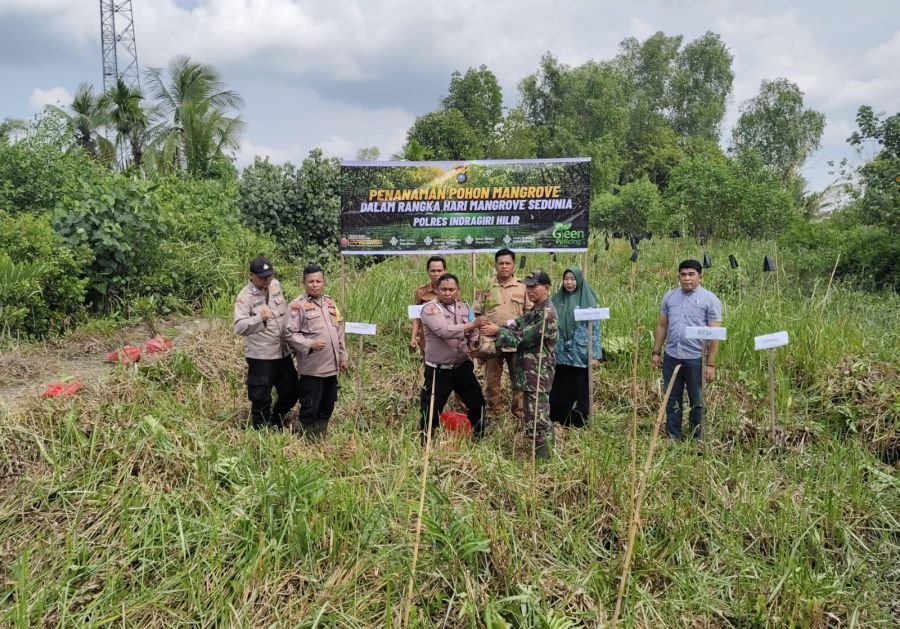 Peringati Hari Mangrove Sedunia, Babinsa 07/Reteh Tanam Mangrove di Desa Sungai Undan