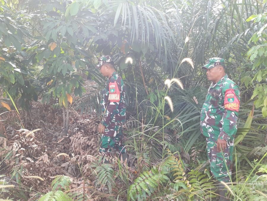 PERKETAT PENGAWASAN KARHUTLA, SERMA N SARAGIH DAN SERDA ZULKARNAIN PATROLI WILAYAH PEMATANG PUDU