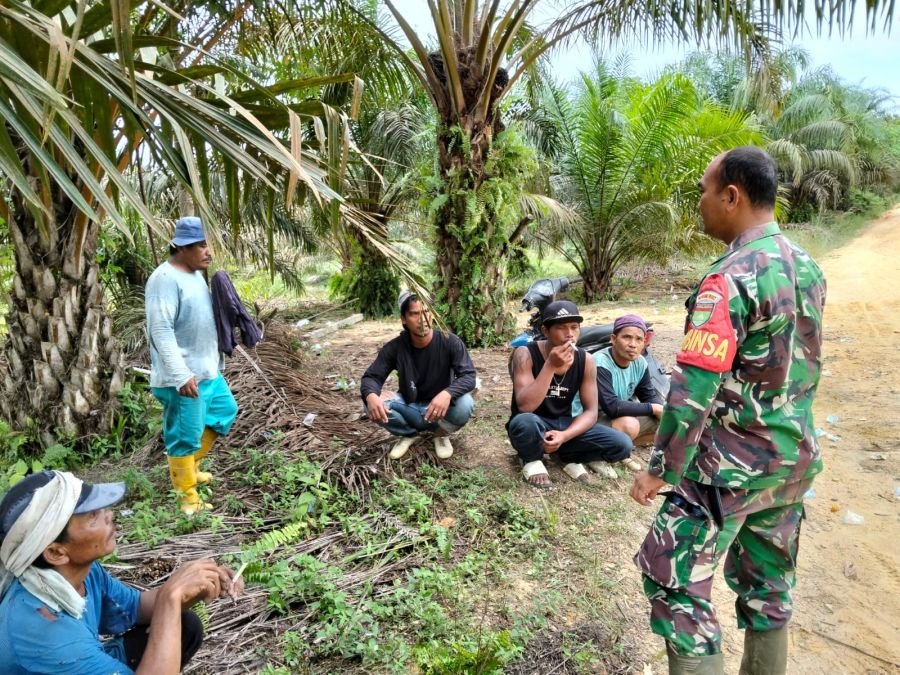 Perkuat Kemitraan Wilayah, Babinsa Koramil 03/Seberida Serap Aspirasi Petani Sawit