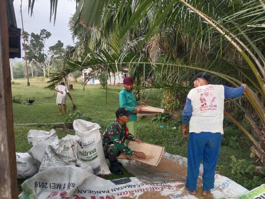 Perkuat Ketahanan Pangan, Babinsa Ramil 07/KH Bantu Jemur Padi Warga