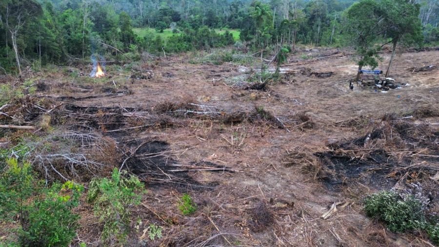 Perkuat Ketahanan Pangan, Prajurit Yonif TP 849/BS Buka Lahan Pertanian di Desa Linau