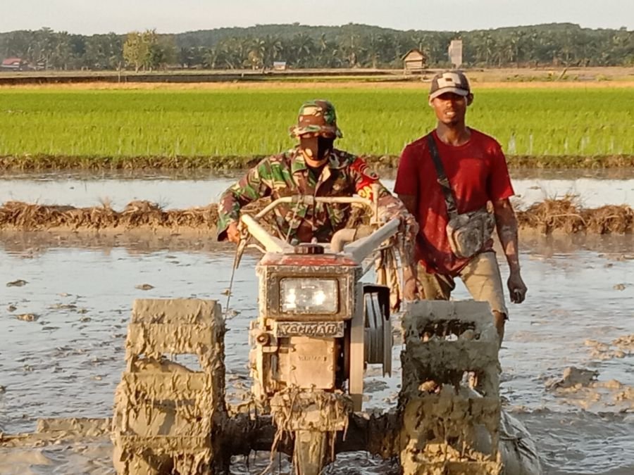 Perkuat Ketahanan Pangan, Sertu Ade Rusiadi Turun Langsung Bantu Petani Pematang Sikek