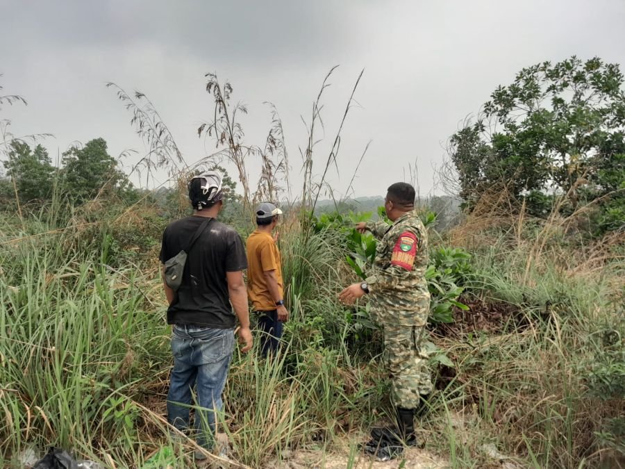 Perkuat Pencegahan Karhutla, Babinsa Koramil 04/Perawang dan Warga Turun Pantau Lingkungan