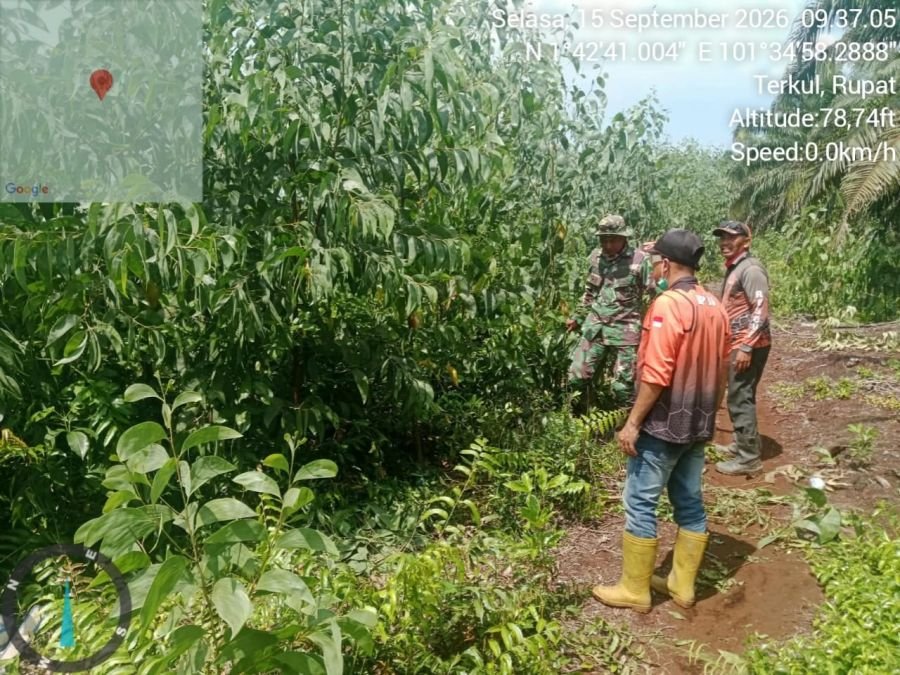 Perkuat Pencegahan Karhutla, Babinsa Koramil 04/Rupat dan Warga Sisir Lahan Rawan di Terkul