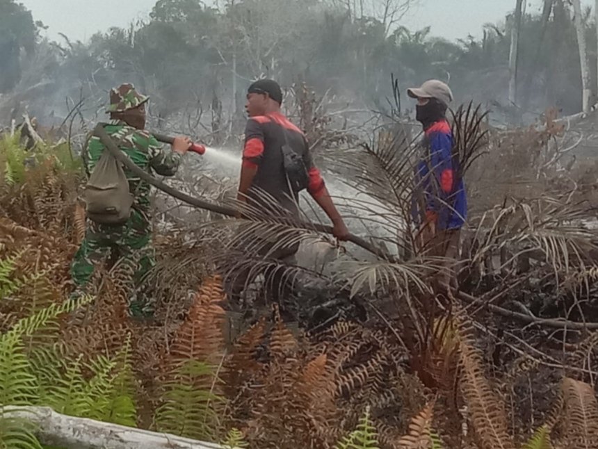 Personel Gabungan Verifikasi Hotspot di Sungai Bakau Rohil, Lahan Gambut 1 Hektare Berhasil Dipadamk