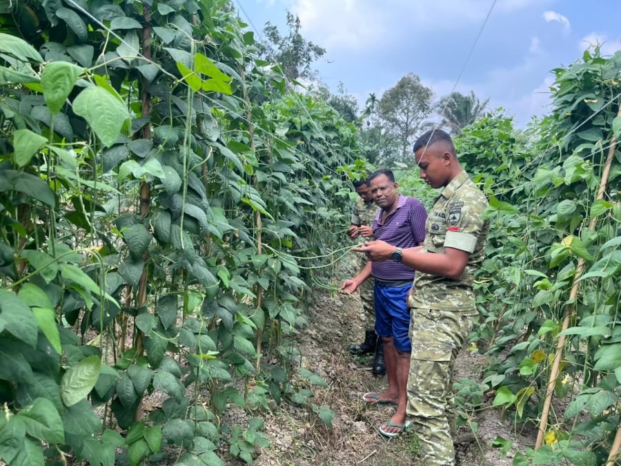 Yonif TP 850/SC Sambangi Kebun Warga, Perkuat Kedekatan dengan Petani