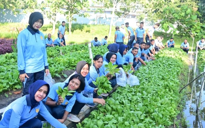 Personel Lanud Roesmin Nurjadin Panen Sayur, Wujud Nyata Ketahanan Pangan