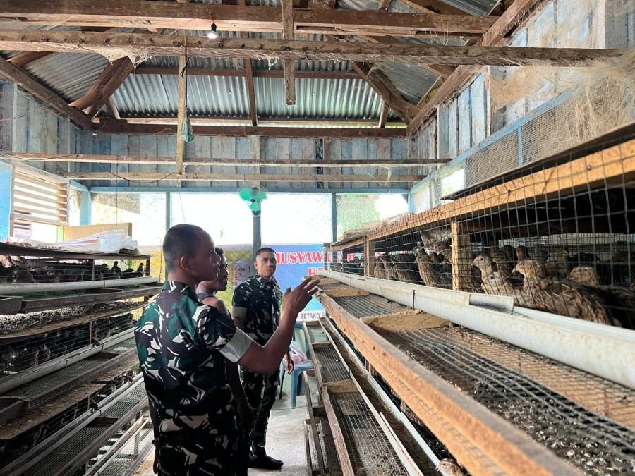 Personel Yonif TP 850/SC dan Warga Setako Raya Kembangkan Ternak Puyuh