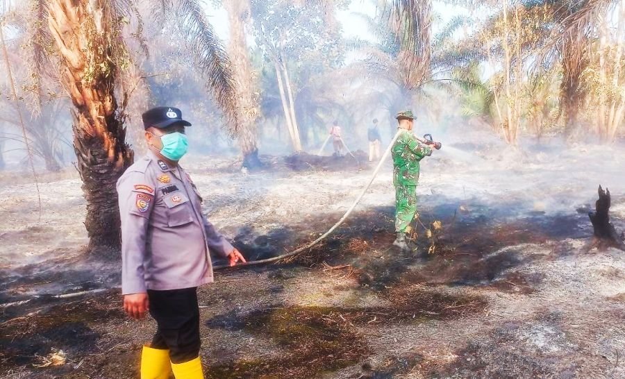 Petugas Gabungan Padamkan Karhutla di Kabupaten Rokan Hulu